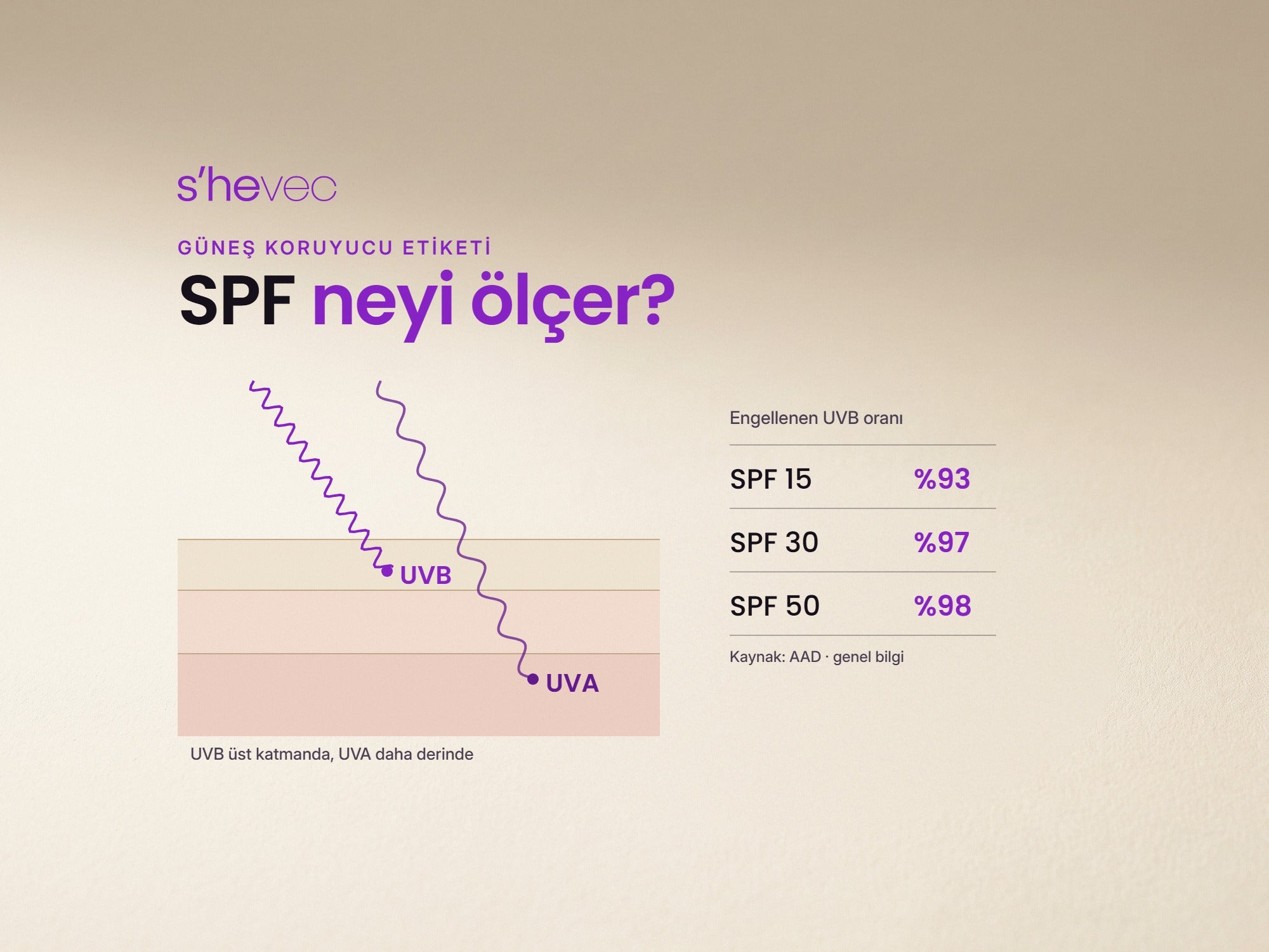 SPF neyi ölçer? — SPF Nedir? UVA, UVB ve Güneş Kremi Etiketleri Nasıl Okunur?
